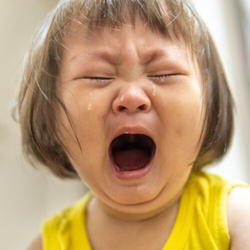 イヤイヤ期で怒って泣く子ども